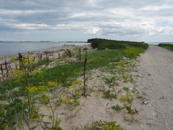 Halshuisene + Enebaerodde Beach (Denemarken)